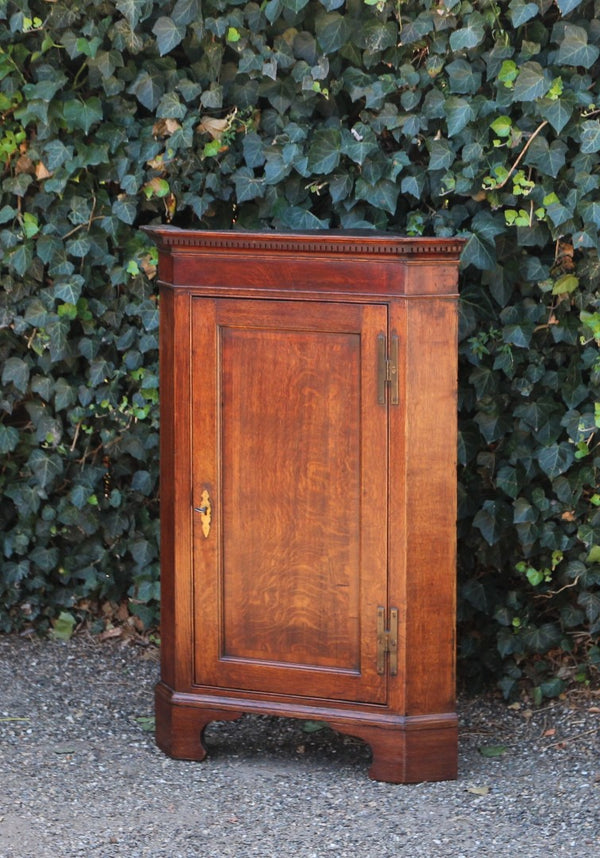 Antique English Oak Corner Cabinet
